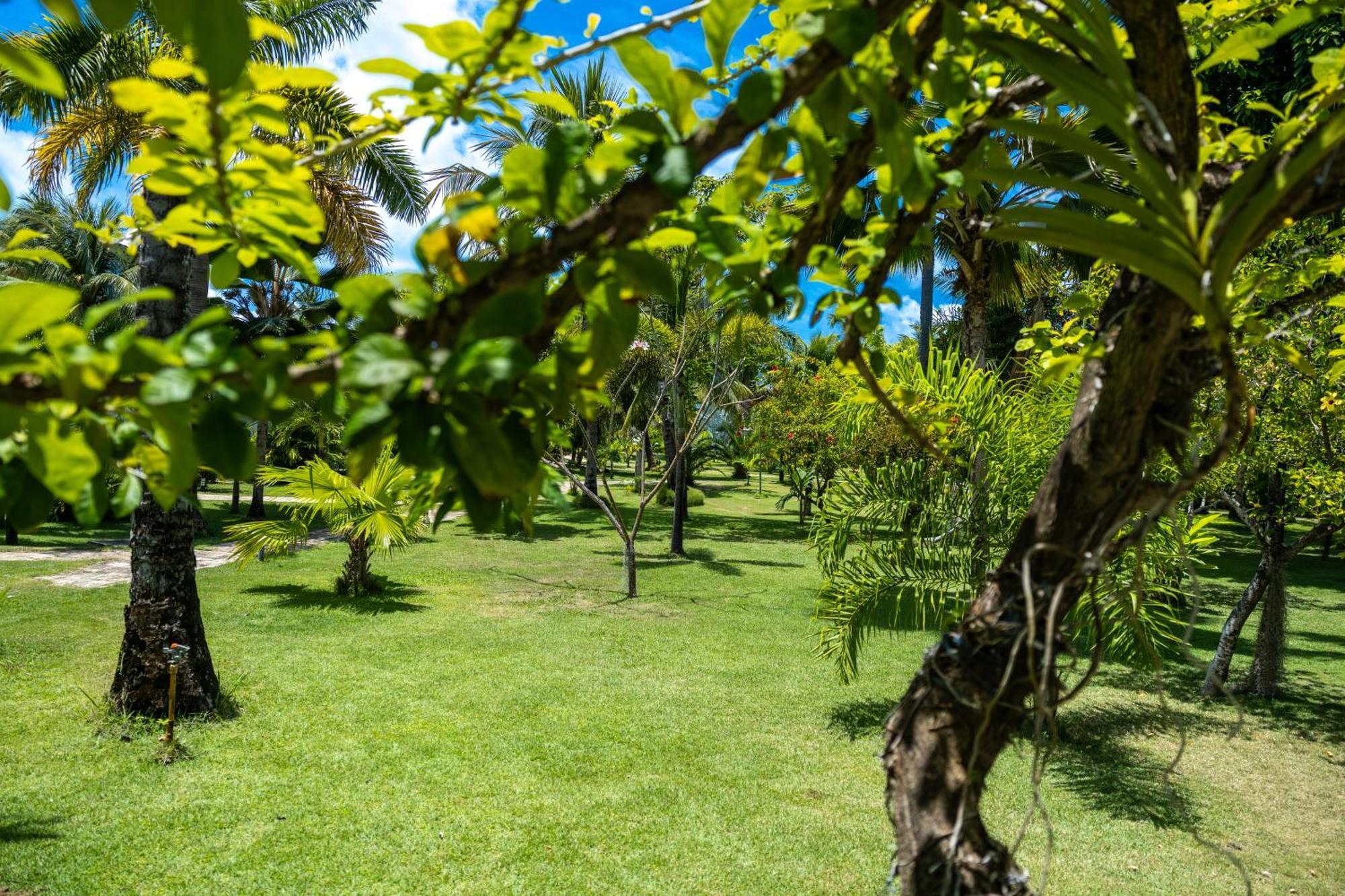 Pousada Aldeia Beijupira Porto de Pedras Exterior photo
